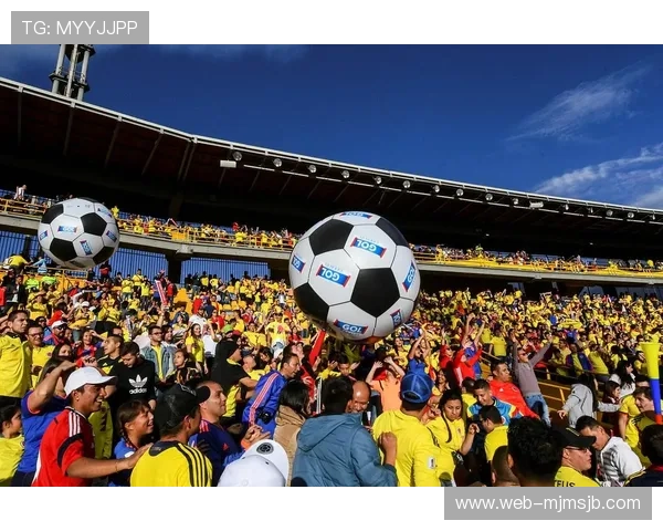 卡塔尔世界杯决赛现场气氛与球迷热情全景报道