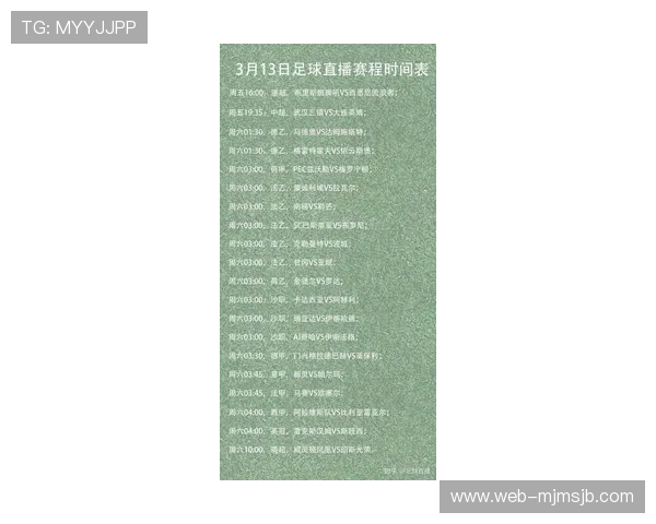 足球世界杯预选赛直播时间表及观看指南，确保你不错过每一场精彩比赛