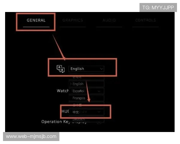 v体育官方入口常见问题解答与登录指南全面解析帮助新手用户轻松上手